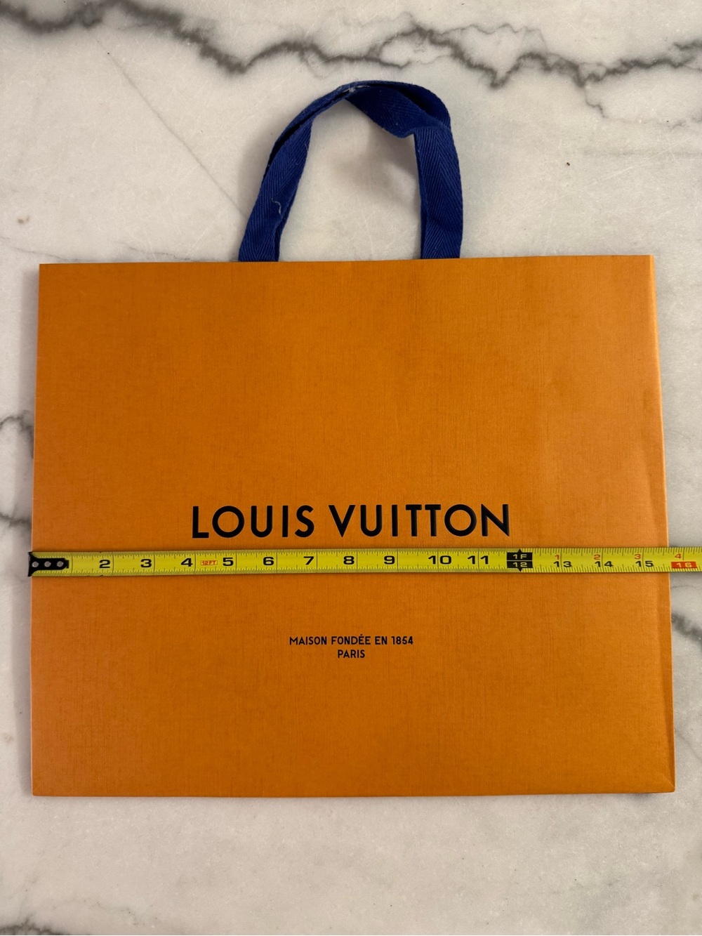 Louis Vuitton shopping bag